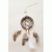 Dromenvanger zwart-wit