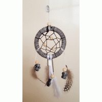 Dromenvanger zwart-wit