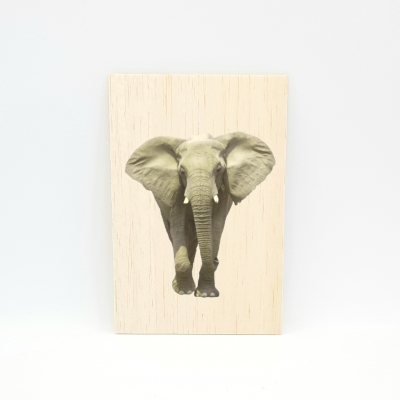 Houten fotokaart Olifant Houten fotokaart Olifant