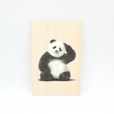 Houten fotokaart Panda Houten fotokaart Panda