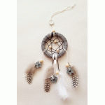 Dromenvanger zwart-wit