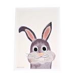 Poster Konijn